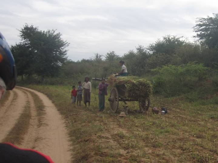 We set off on a small road directly from our hotel and it wasn&rsquo;t long before we were in agricultureal land.  Here a family loads a cart with hay.